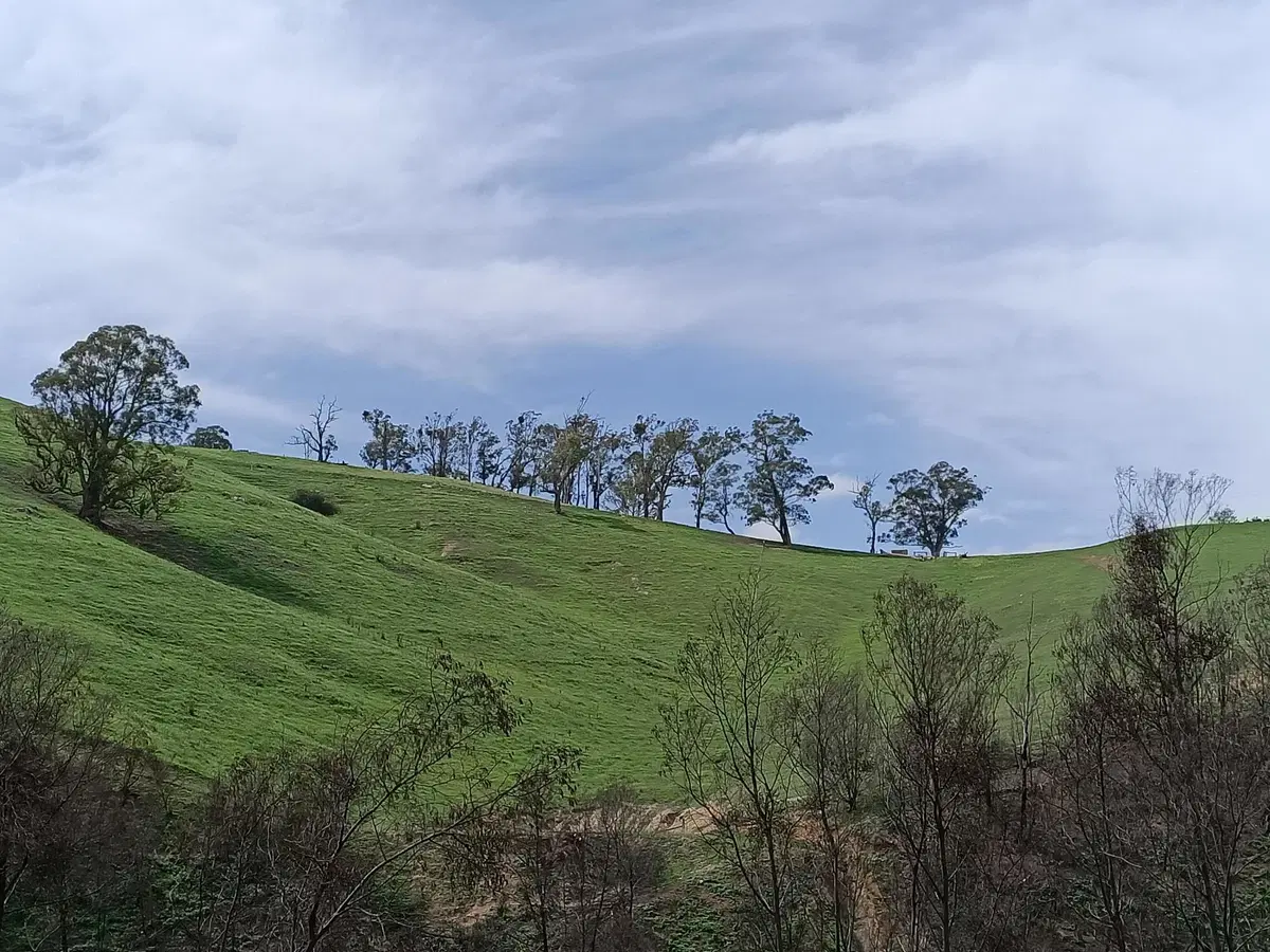 In moto nello stato di Victoria, in Australia (12)