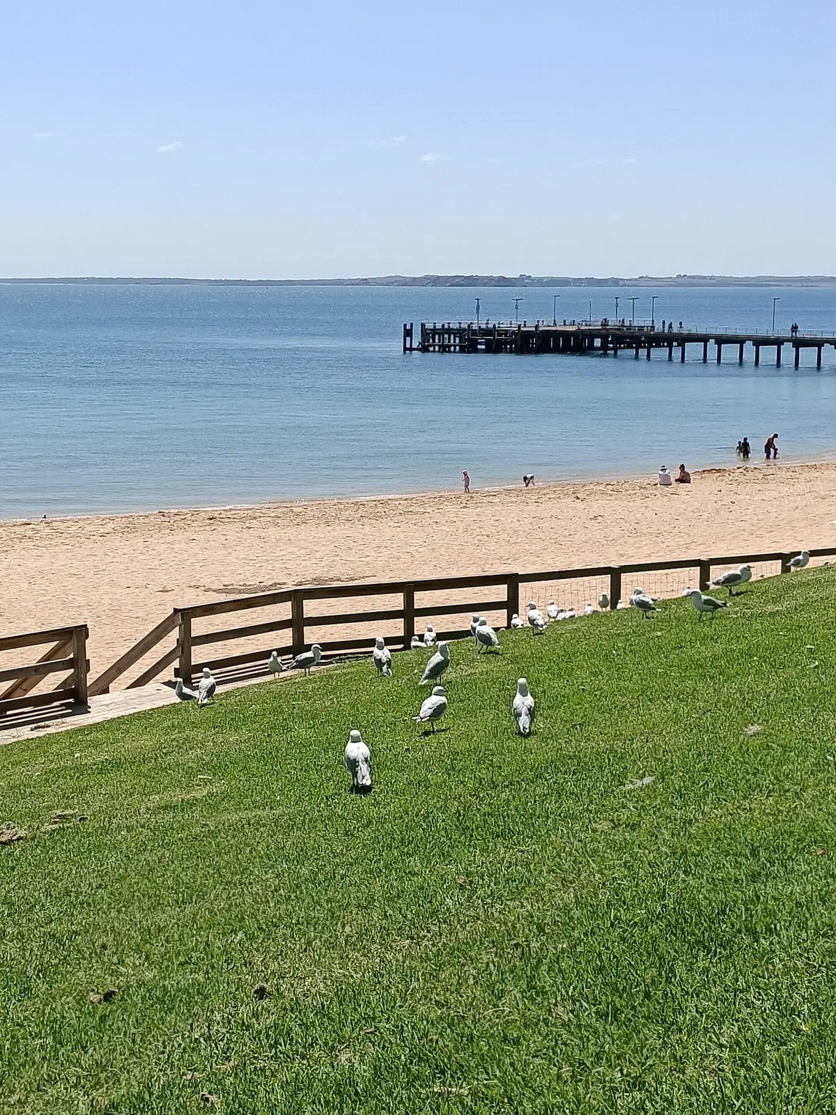 In moto nello stato di Victoria, in Australia (38)