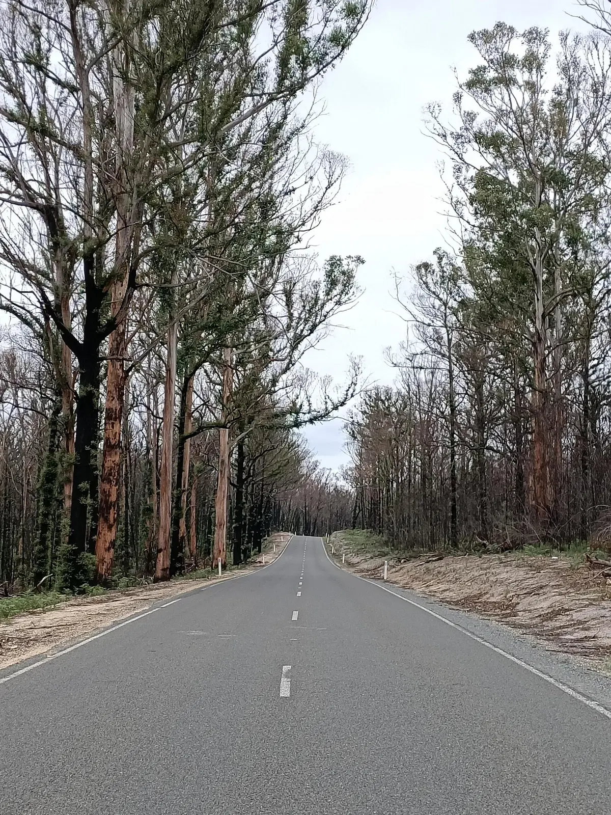 In moto nello stato di Victoria, in Australia (49)
