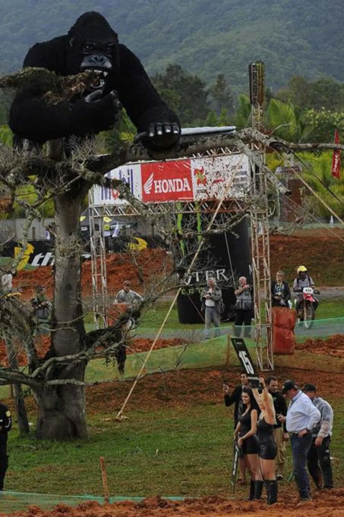 Motocross. Le foto più spettacolari del GP del Brasile (19)