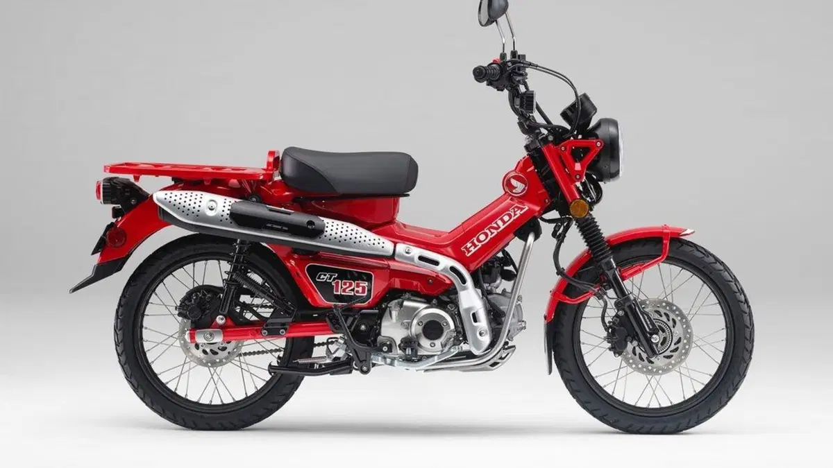 Honda CT125 Hunter Cub 2020. Foto e caratteristiche (4)