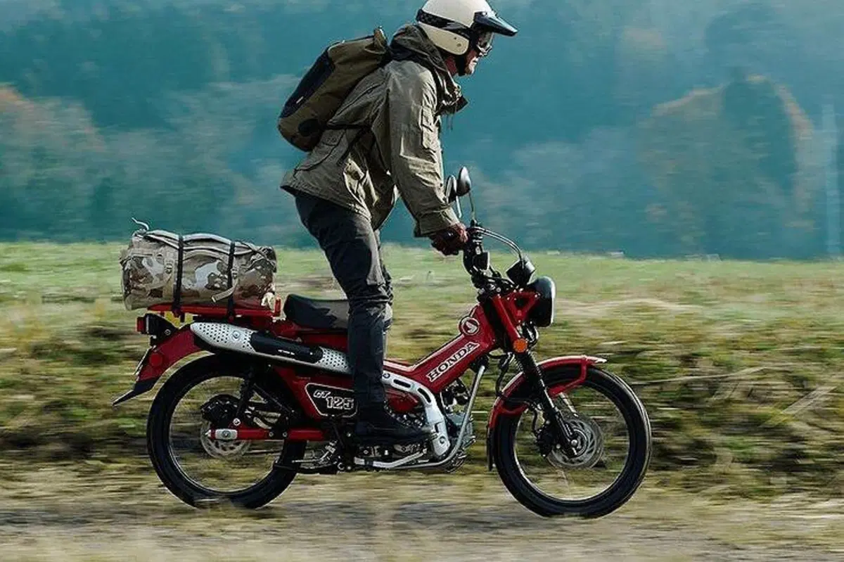 Honda CT125 Hunter Cub 2020. Foto e caratteristiche