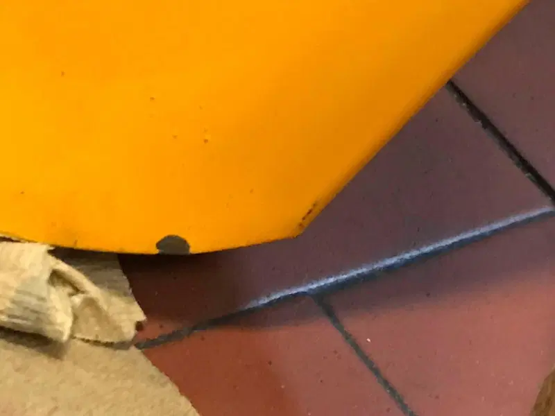 Parafanghi Ducati Scrambler ( Marzo 2019 ) VV (20)