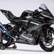 Kawasaki Ninja ZX-25R: ecco la versione pronto gara