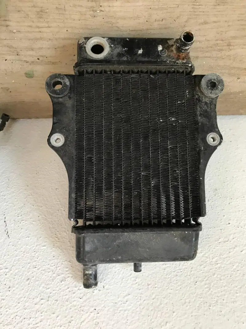 Radiatore nero Honda Dylan S.L (2)