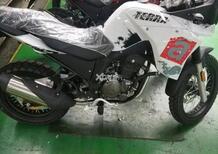 Aprilia Terra 250: una on/off per l'India