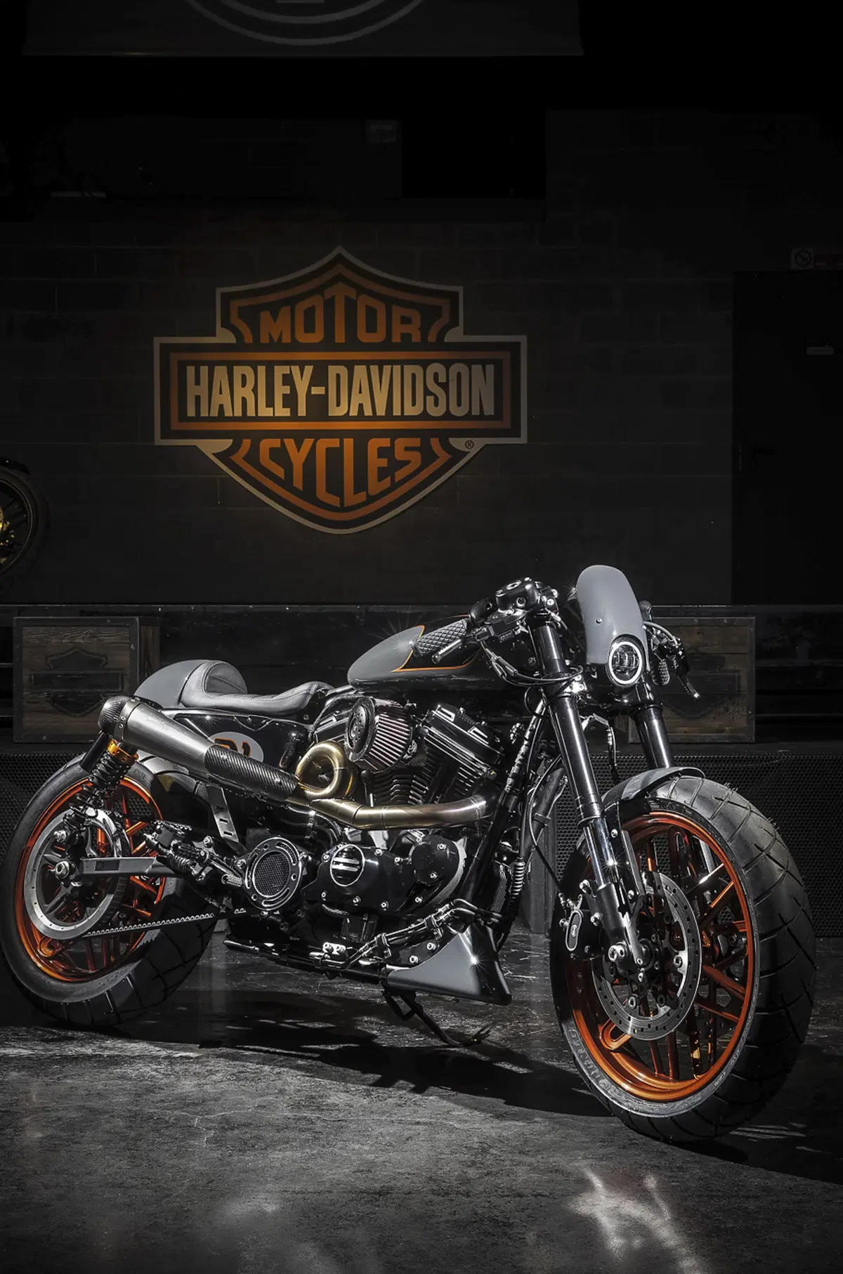 Battle of the Kings: vince Harley-Davidson Perugia (4)