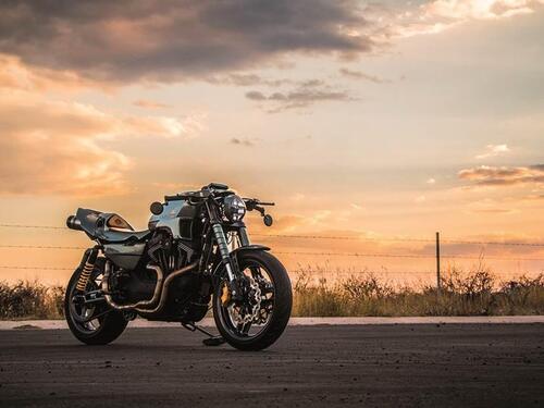 Harley-Davidson: Alla XR1200 Apex Predator l'ultima corona nella Battle of the Kings  (2)