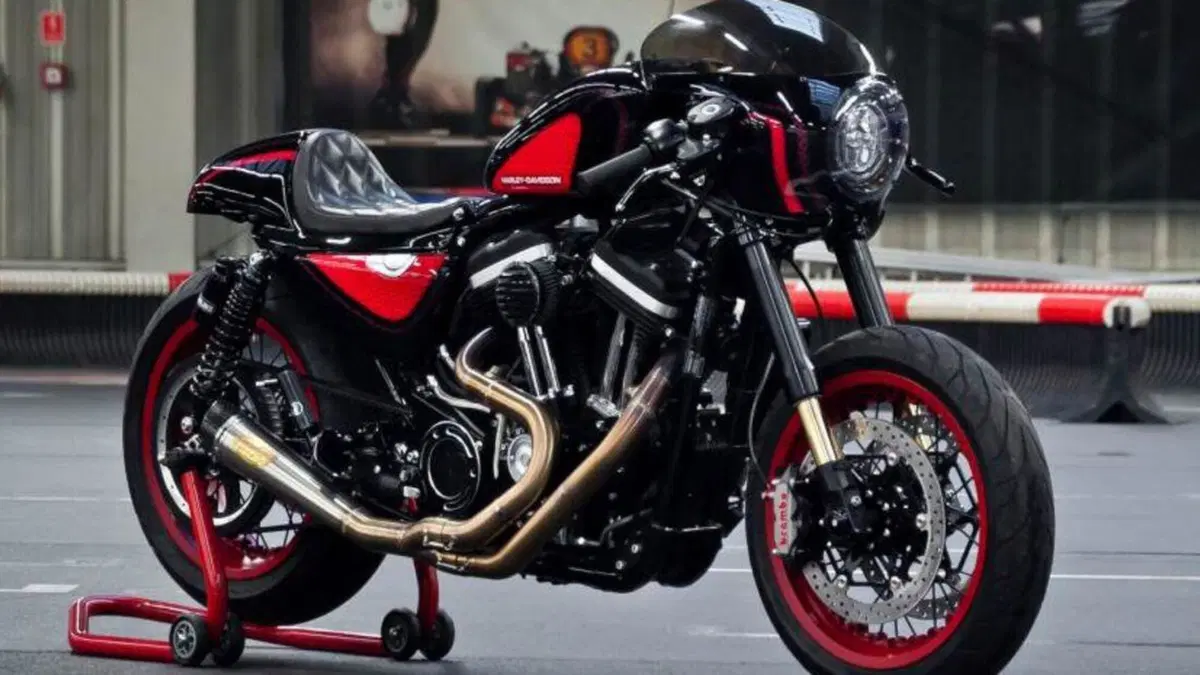Harley-Davidson: Alla Apex Predator l'ultima corona nella Battle of the Kings  (6)