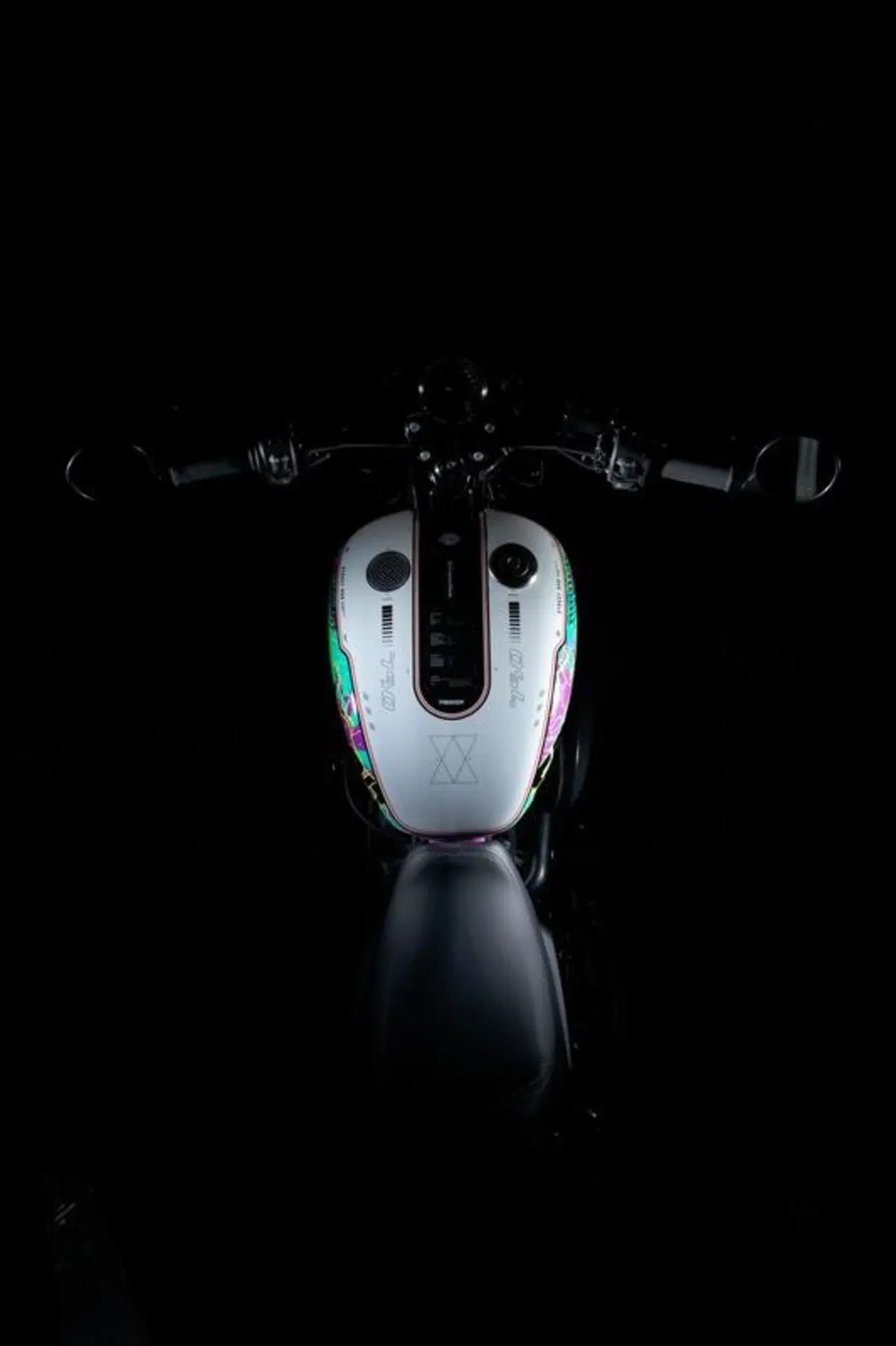 Harley-Davidson vende in Giappone 10 esemplari in edizione limitata (4)
