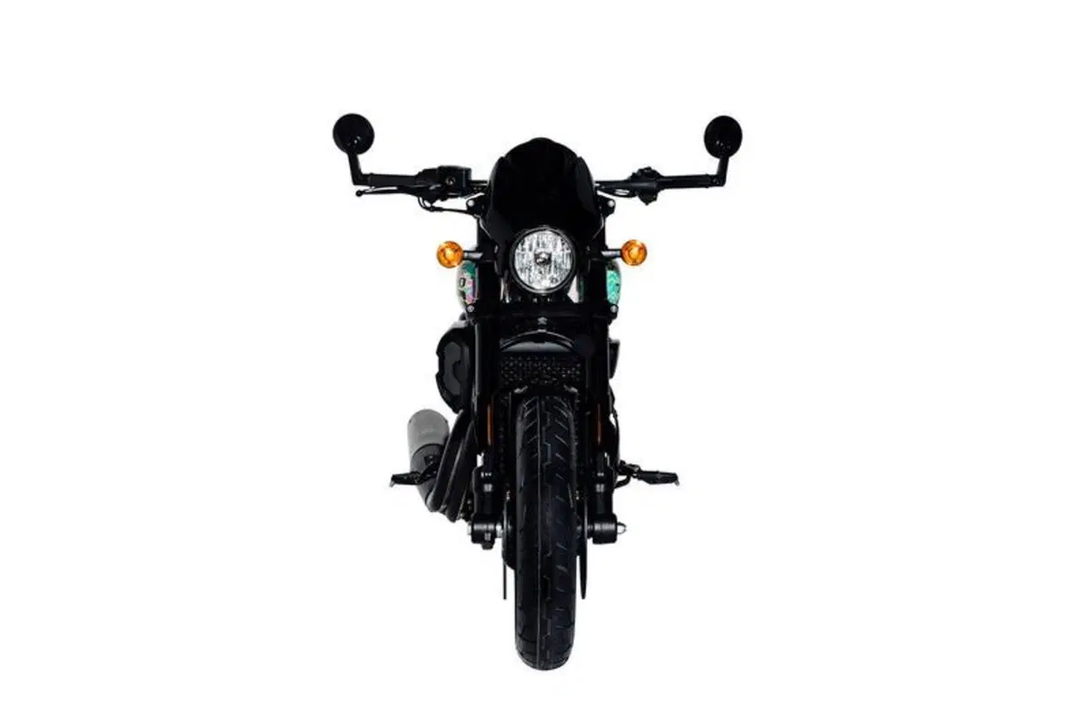 Harley-Davidson vende in Giappone 10 esemplari in edizione limitata (3)