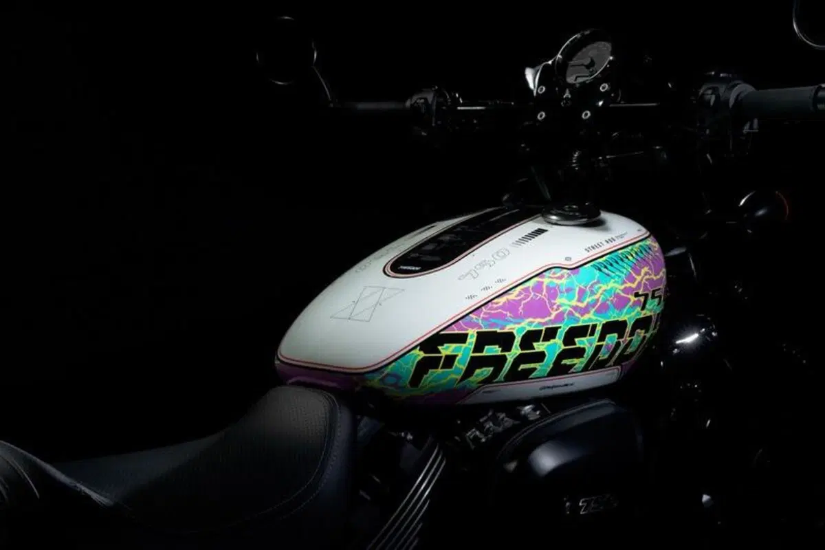 Harley-Davidson vende in Giappone 10 esemplari in edizione limitata (10)