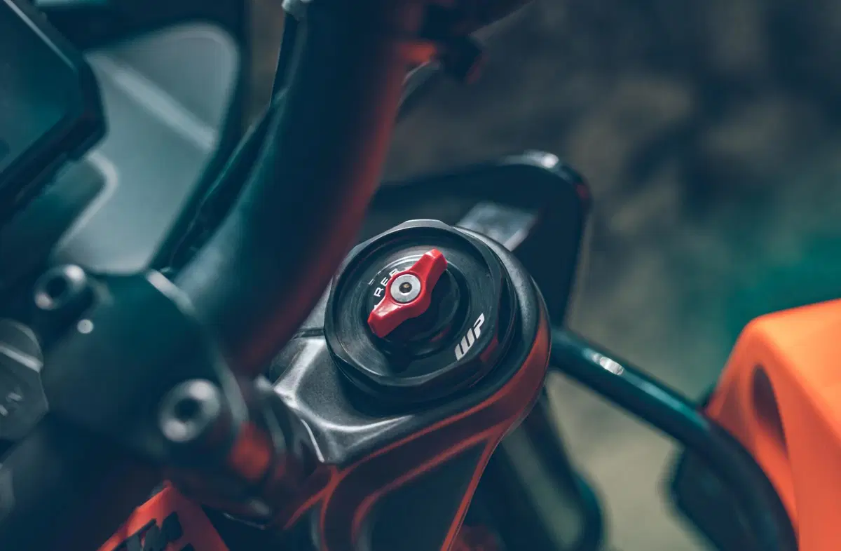 KTM 390 Adventure TEST: in sella con Francois, scopriamo pro & contro! (7)