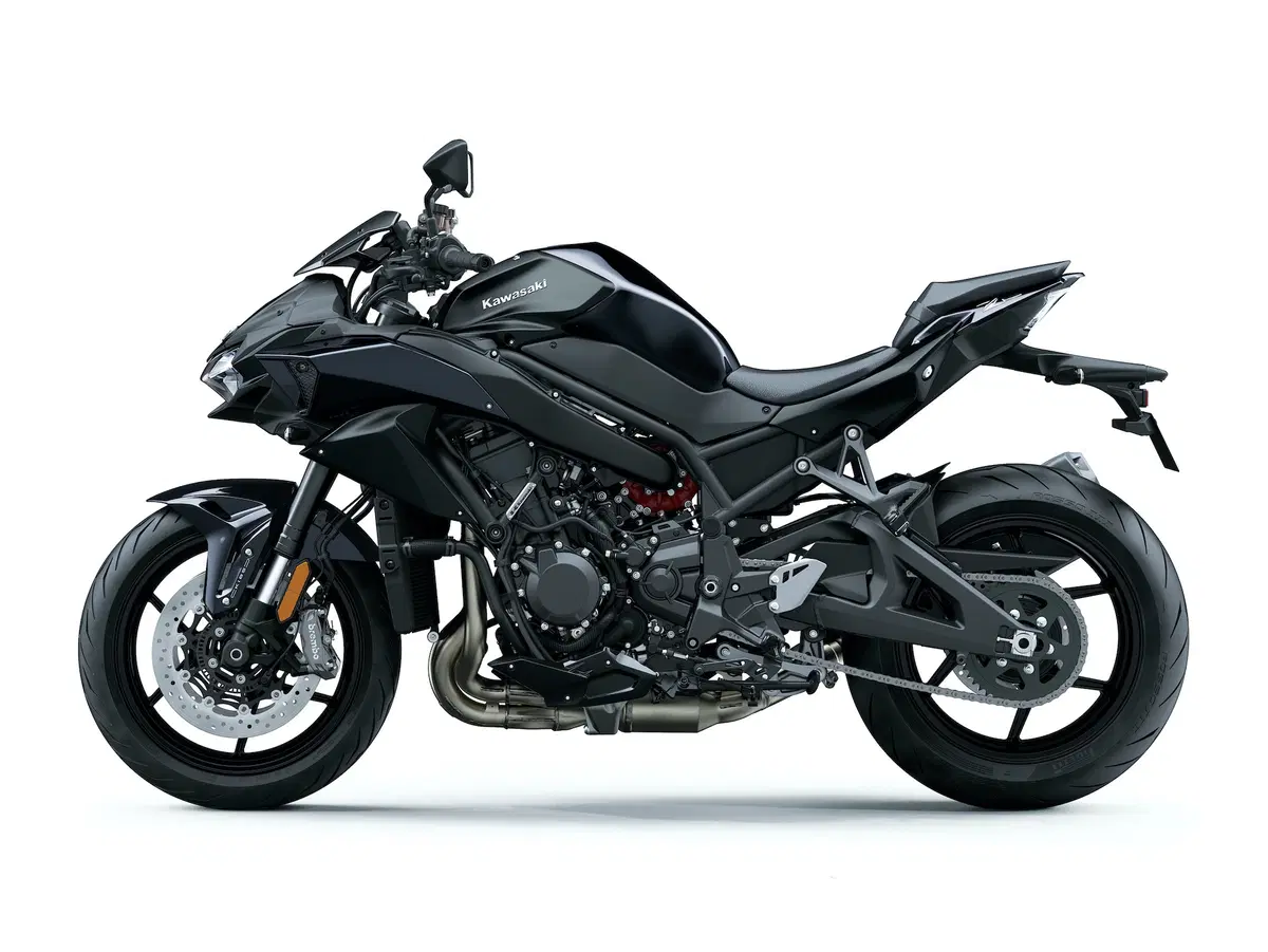 Kawasaki Z-H2: foto, dati e prezzo (7)