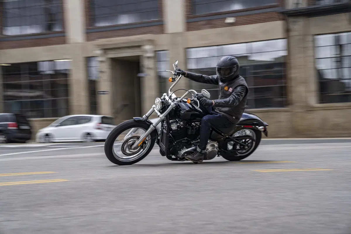 Nuova Harley Davidson Softail Standard 2020