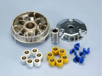 Variatore speed control (Polini), ricambio 241632 Polini Motori