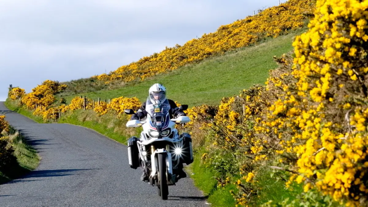 Planet Explorer 8 - Ireland - Day 3 (9)