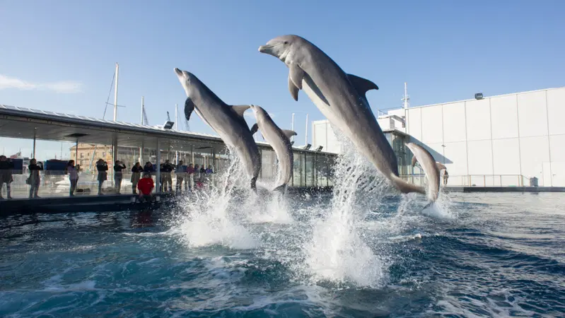 Atene - Gibilterra, il percorso. Genova, l'Acquario e il Porto Antico