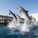 Atene - Gibilterra, il percorso. Genova, l'Acquario e il Porto Antico