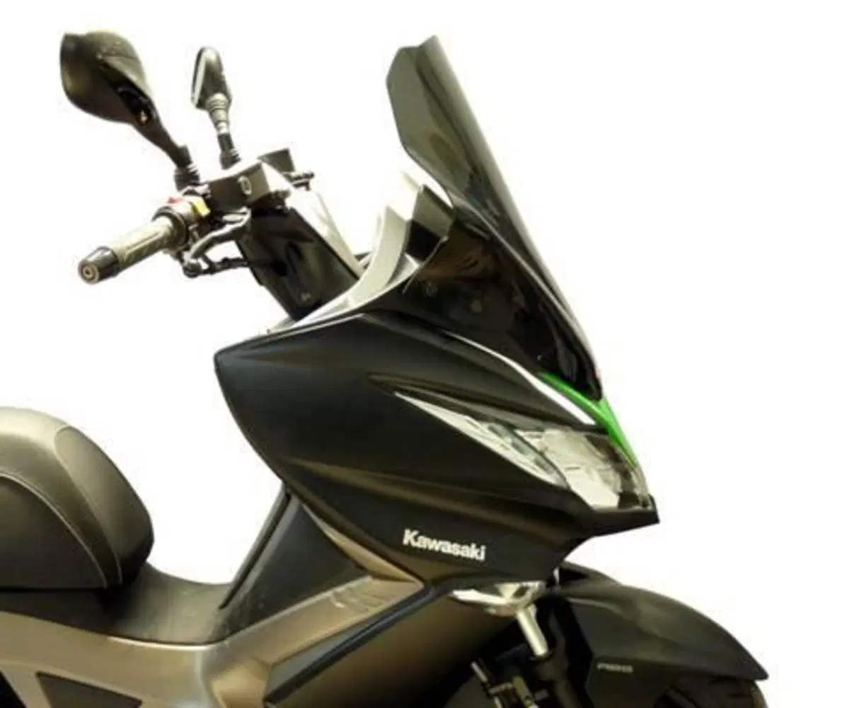 Fabbri 3138/DS Cupolino Sport Kaw J125 J300 2014-2 F. Fabbri (2)