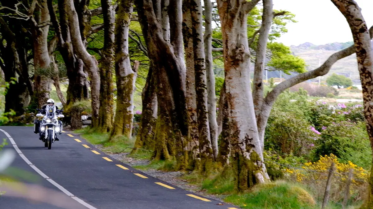 Planet Explorer 8 - Ireland - Day 4 (11)