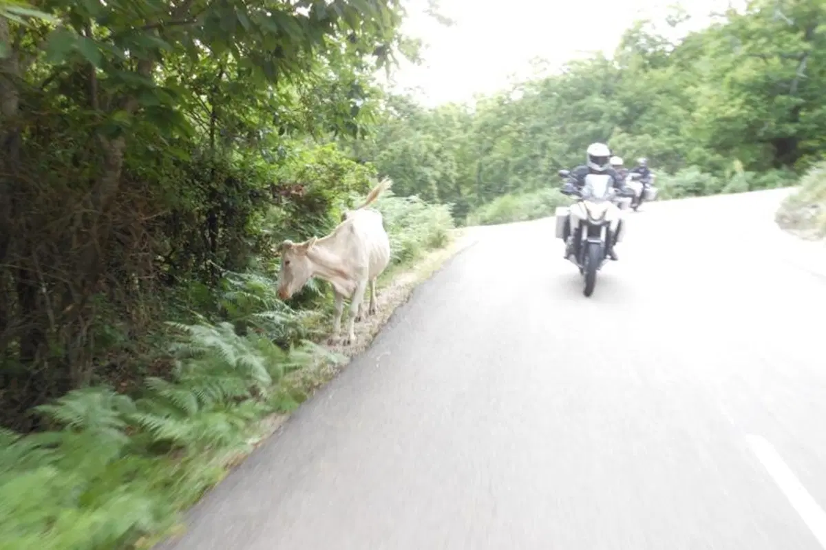 Honda Epic Tour. In viaggio con la Crosstourer da Londra a Roma (7)
