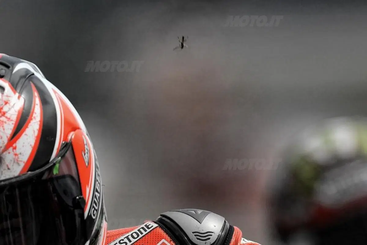 Le foto più spettacolari del GP del Regno Unito (12)