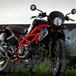 Suzuki Gladius Scrambler GPdesign