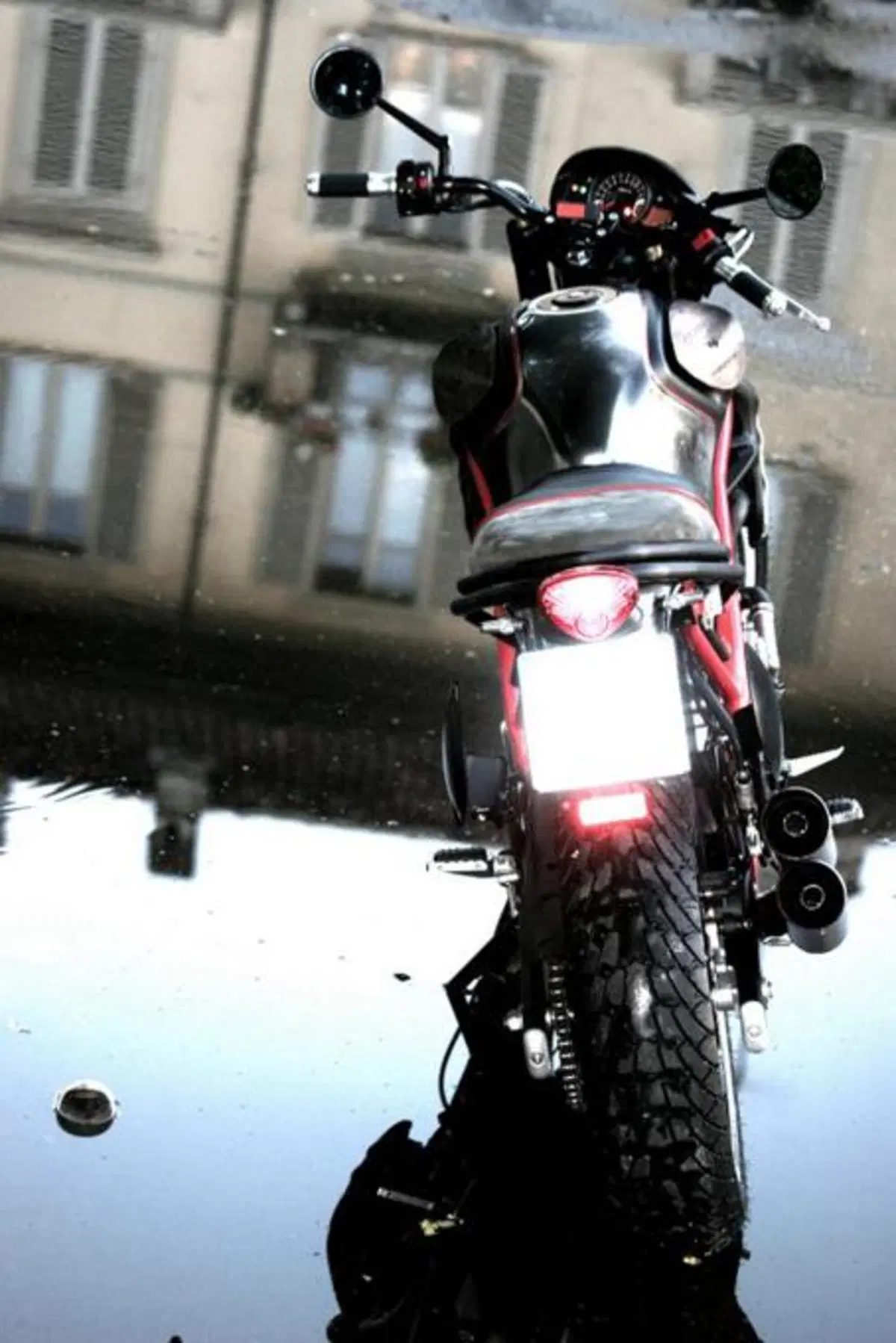 Suzuki Gladius Scrambler GPdesign (5)