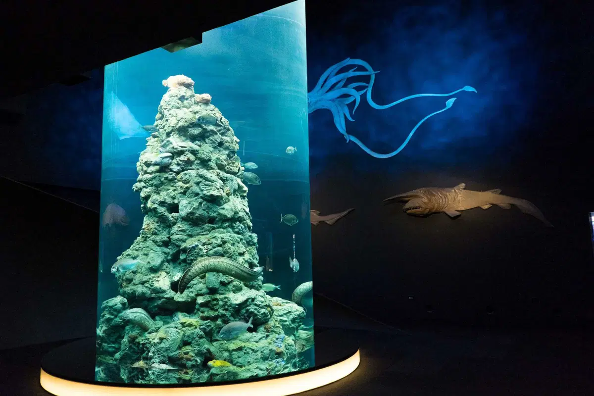 Atene - Gibilterra, il percorso. Genova, l'Acquario e il Porto Antico (2)