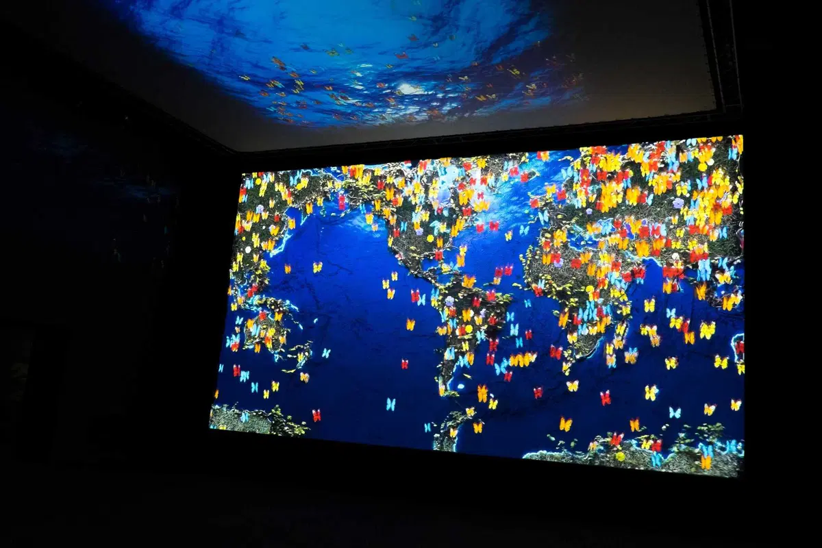 Atene - Gibilterra, il percorso. Genova, l'Acquario e il Porto Antico (5)