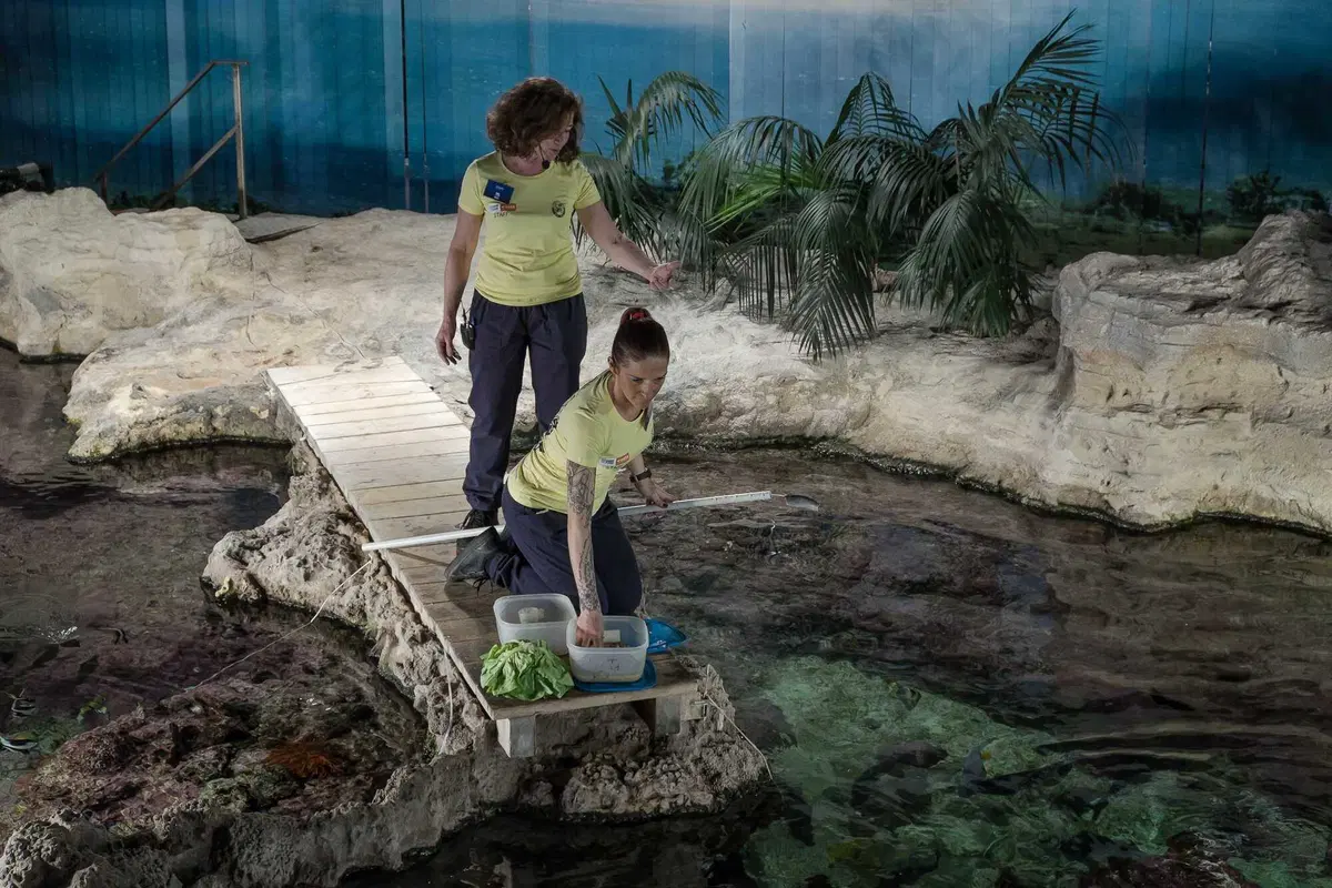 Atene - Gibilterra, il percorso. Genova, l'Acquario e il Porto Antico (8)