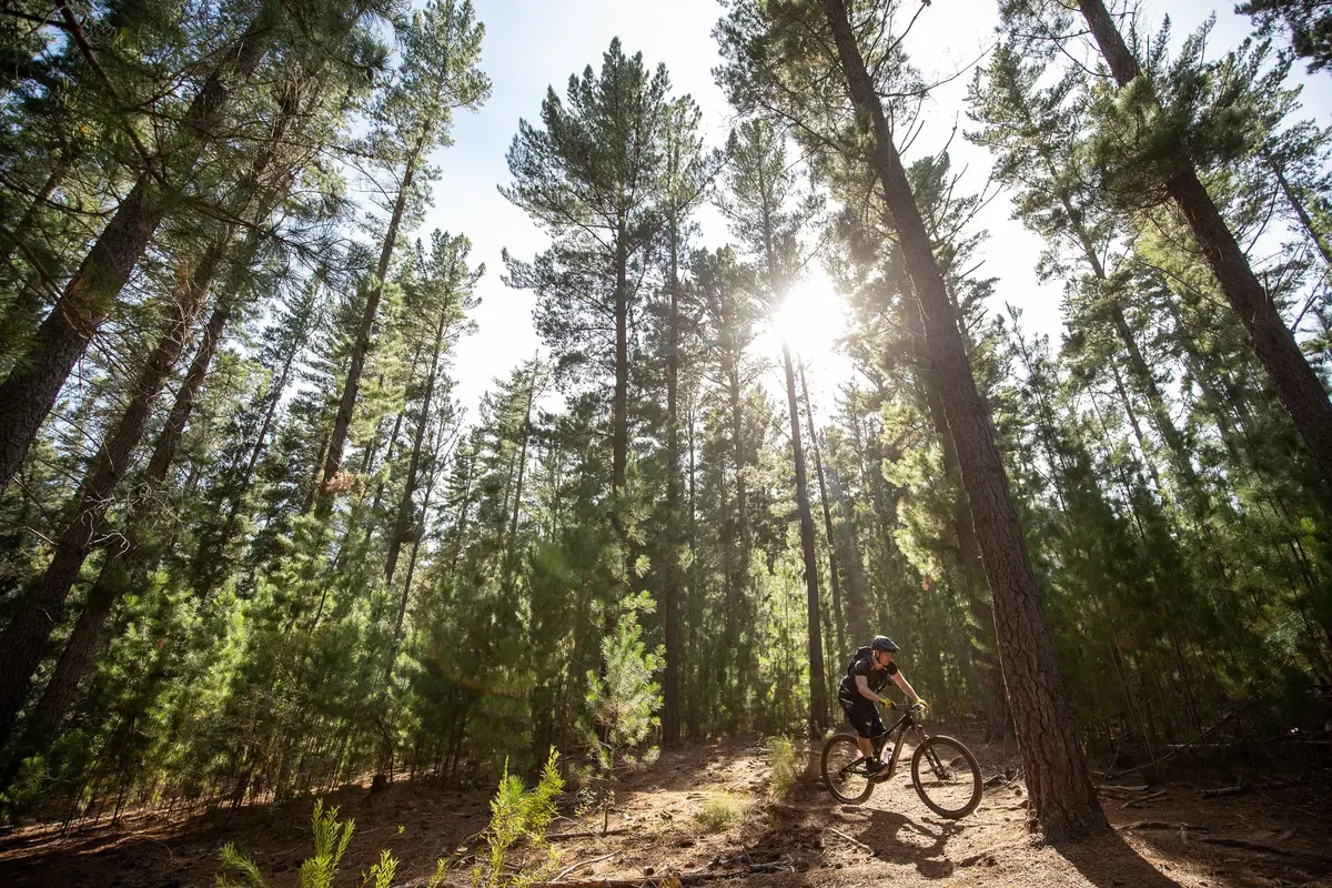 Specialized Turbo Levo SL. Test eBike (29)