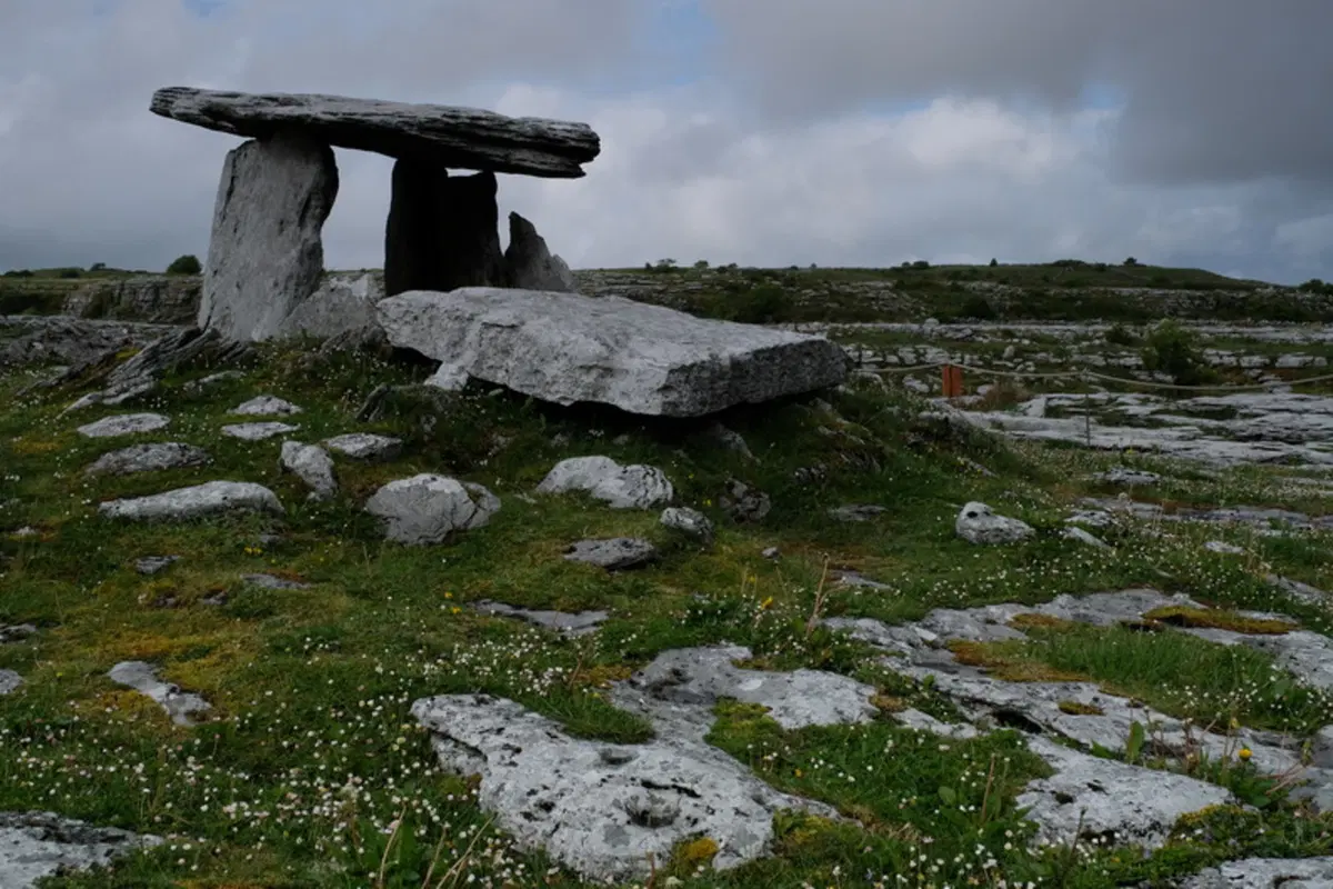 Planet Explorer 8 - Ireland - Day 5 (13)