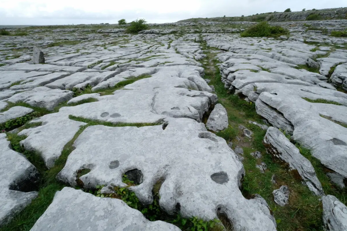 Planet Explorer 8 - Ireland - Day 5 (14)