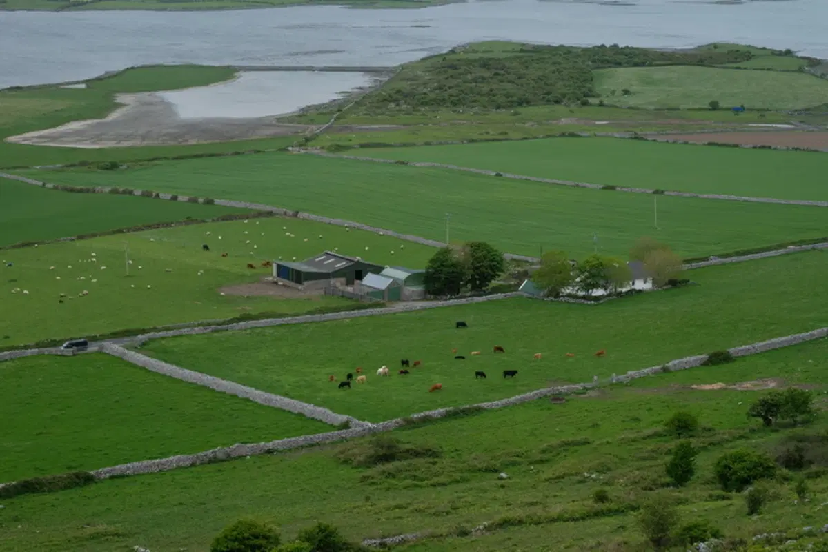Planet Explorer 8 - Ireland - Day 5 (15)