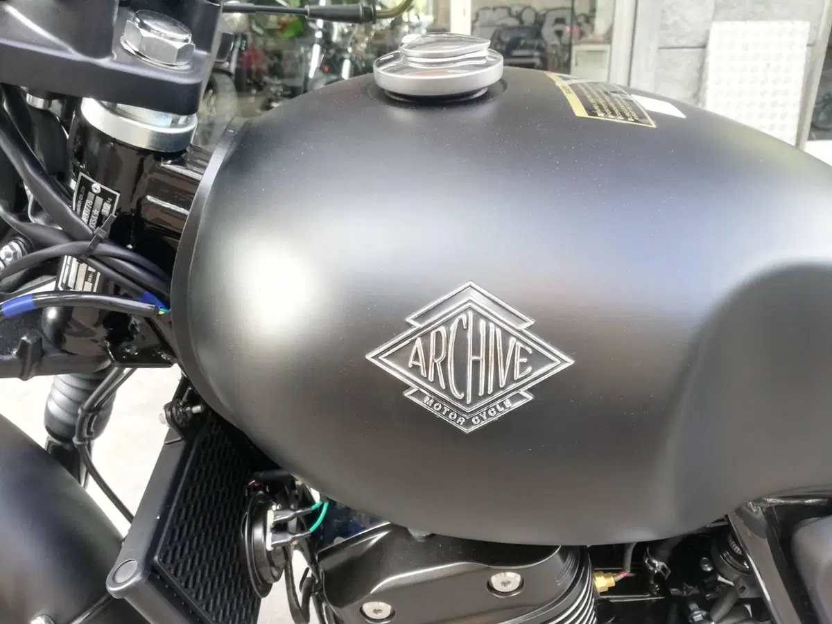Archive Motorcycle AM 90 250 Scrambler (2022 - 26) (7)