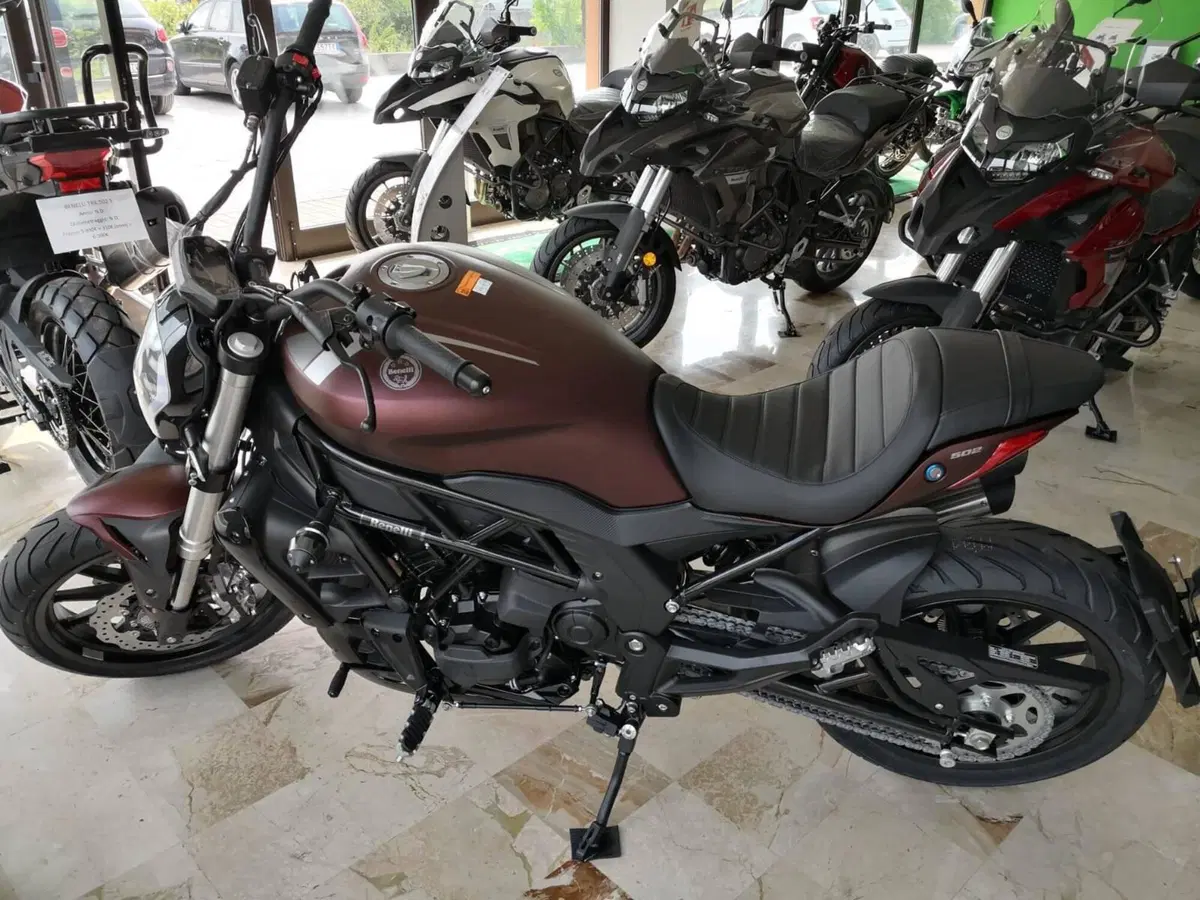 Benelli 502 C (2019 - 20) (3)