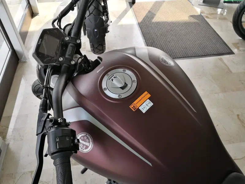 Benelli 502 C (2019 - 20) (4)