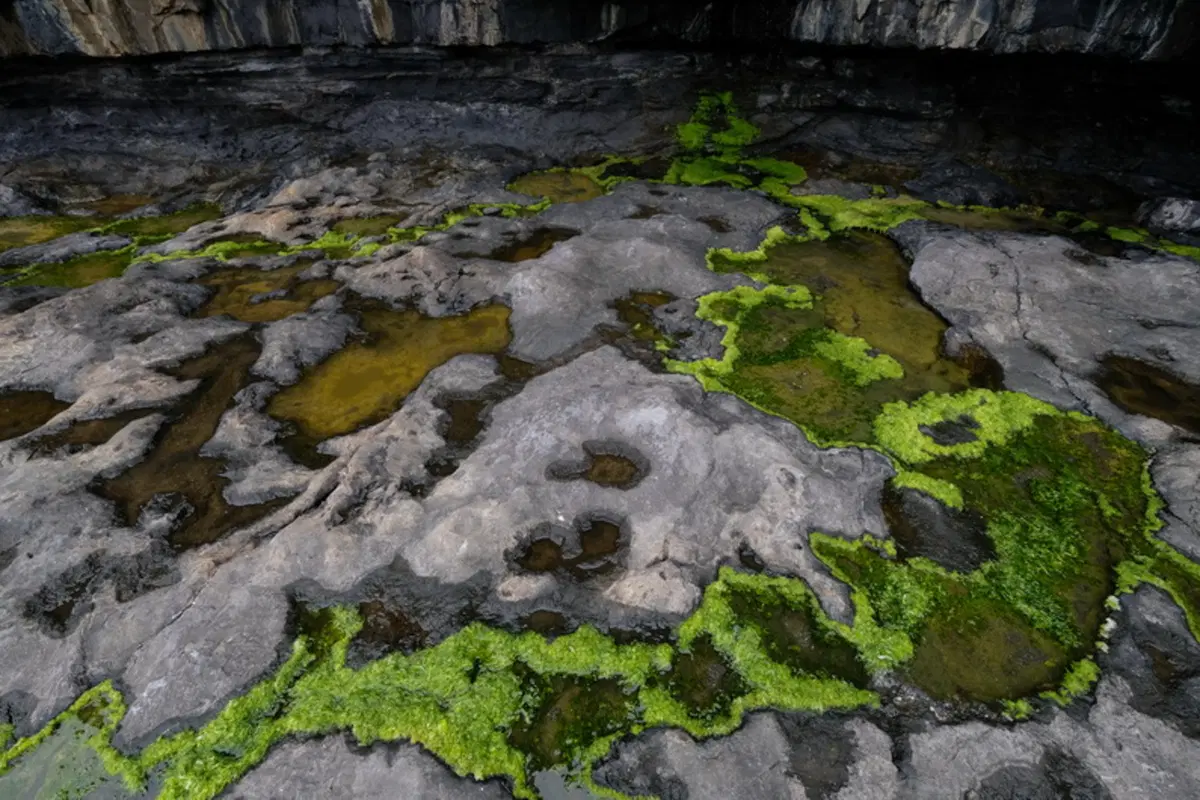 Planet Explorer 8 - Ireland - Day 6 (3)
