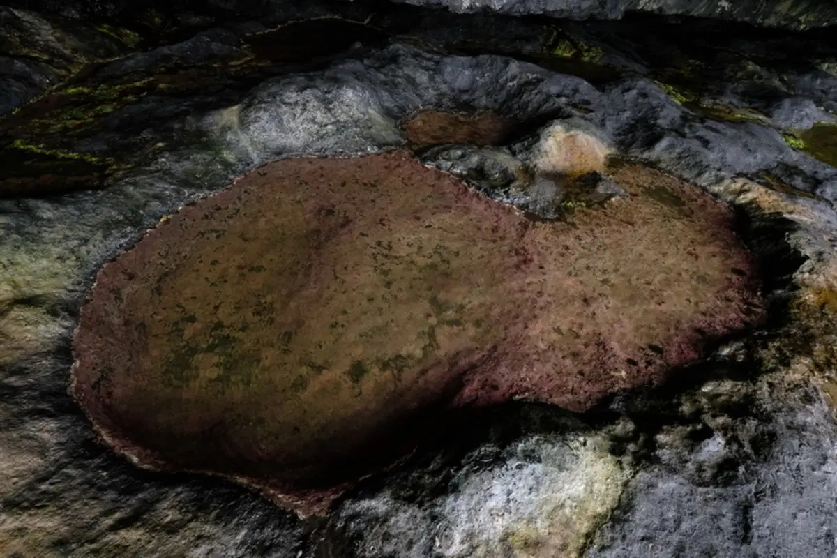 Planet Explorer 8 - Ireland - Day 6 (6)