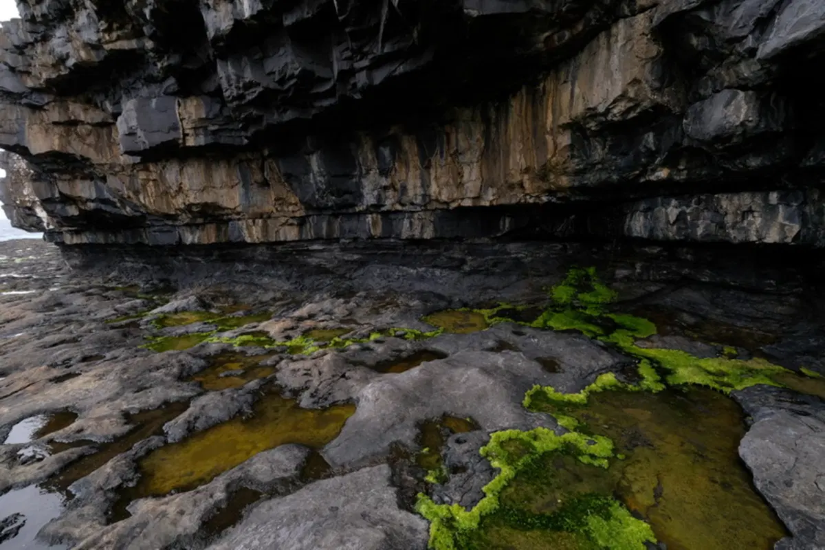 Planet Explorer 8 - Ireland - Day 6 (5)
