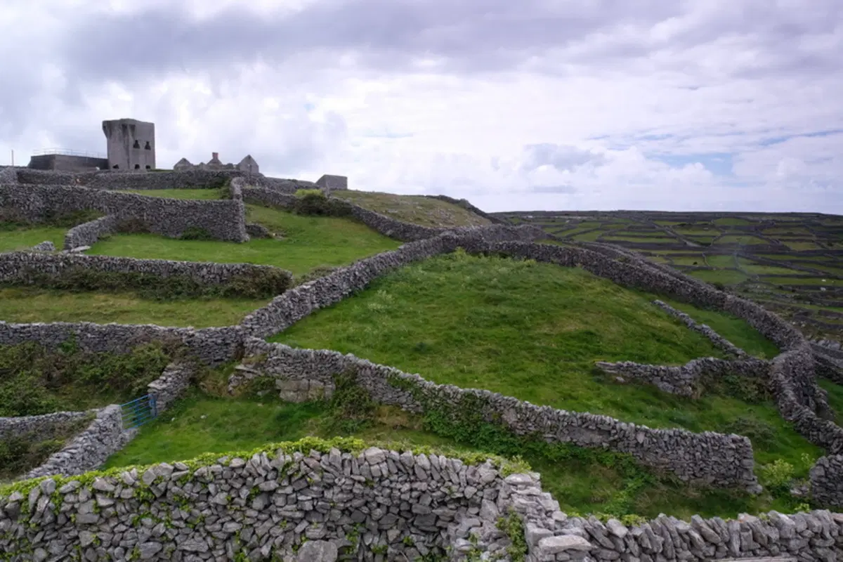 Planet Explorer 8 - Ireland - Day 6 (13)