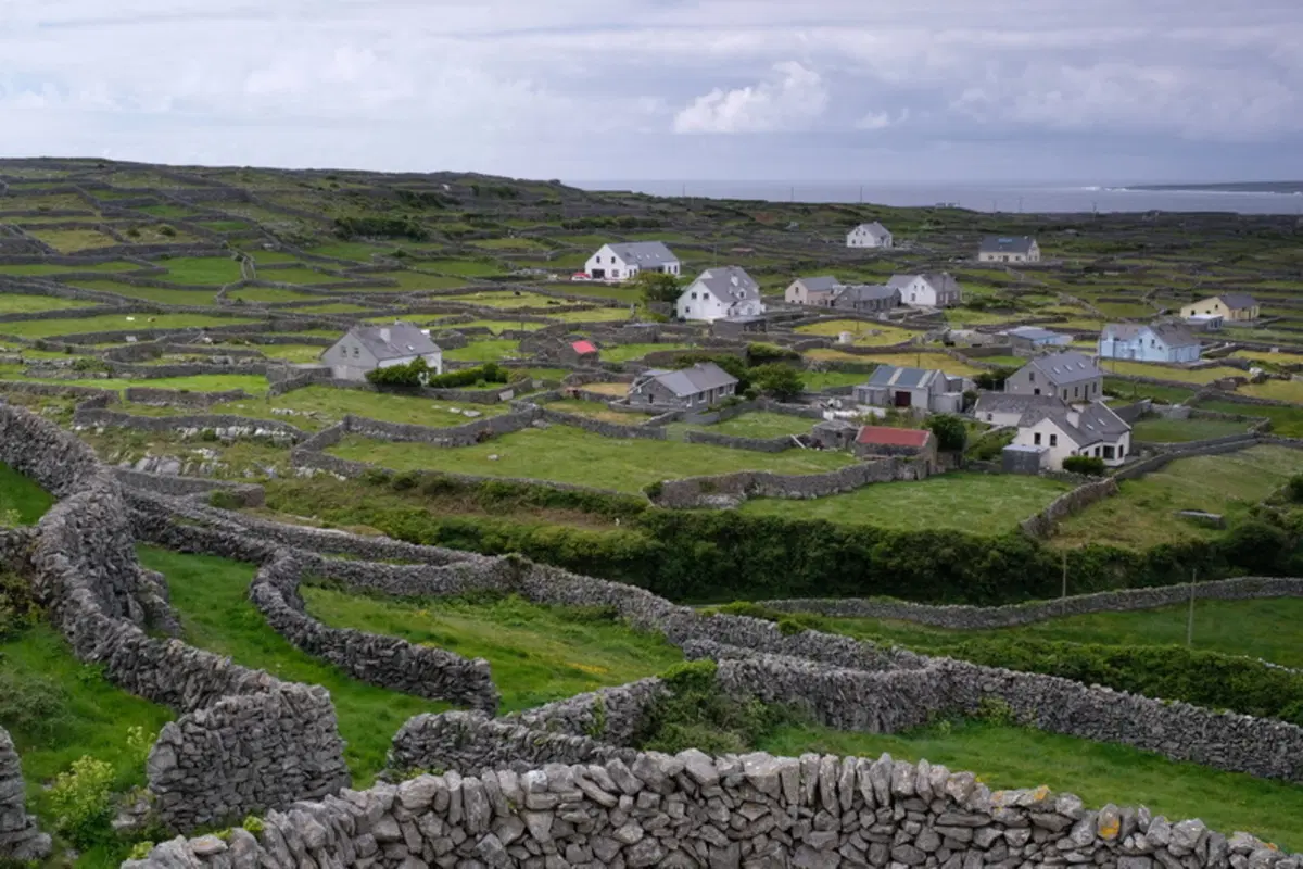 Planet Explorer 8 - Ireland - Day 6 (15)