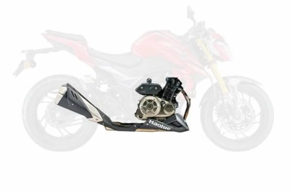 Haojue DR 300. Oppure Suzuki GSX-S 300? (12)