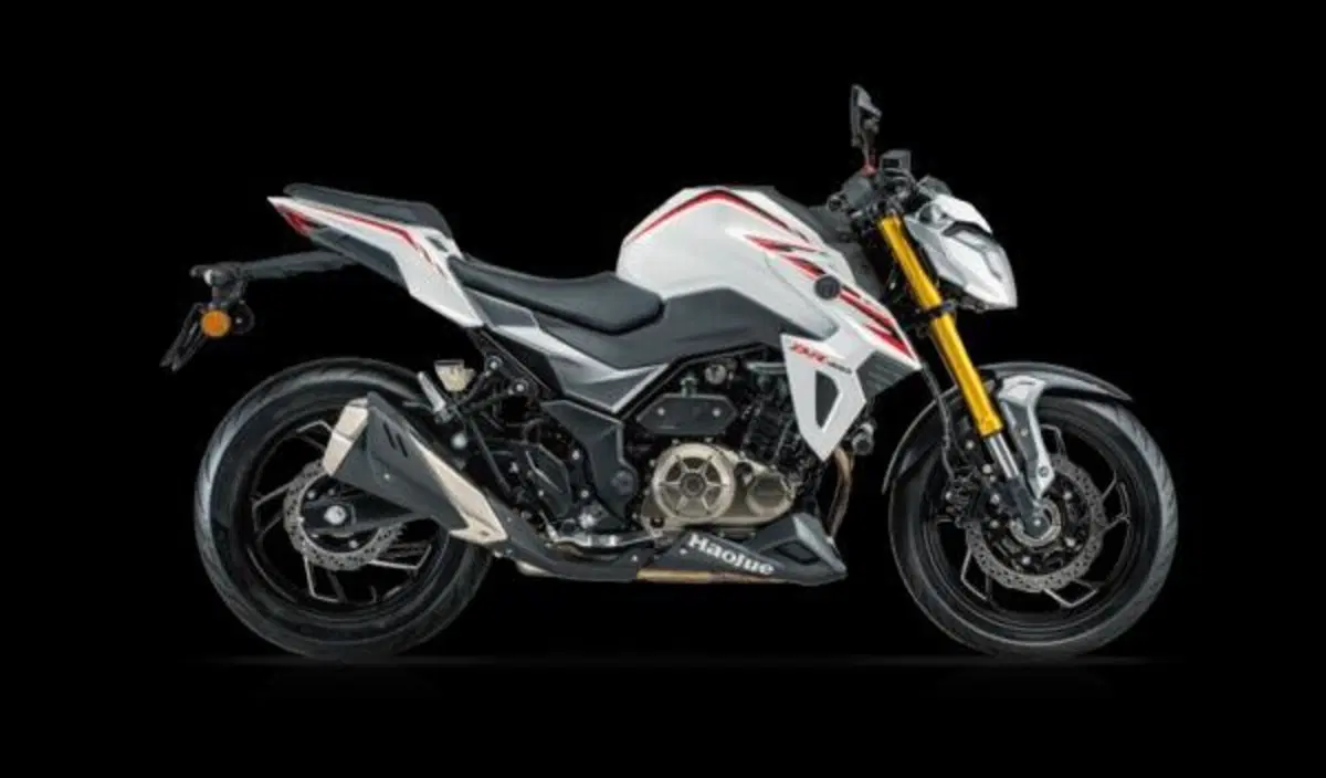 Haojue DR 300. Oppure Suzuki GSX-S 300? (17)