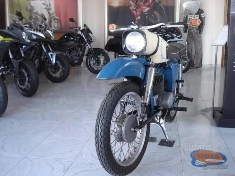 Mz Altro modello (3)