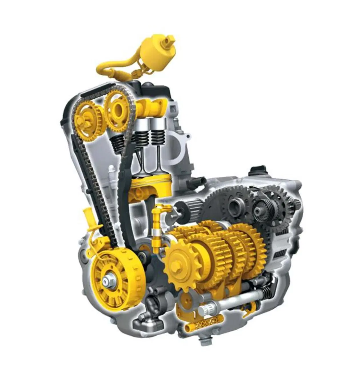 Suzuki: ecco le RM-Z 2013! (36)