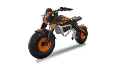 Lem Motor Beach Mad