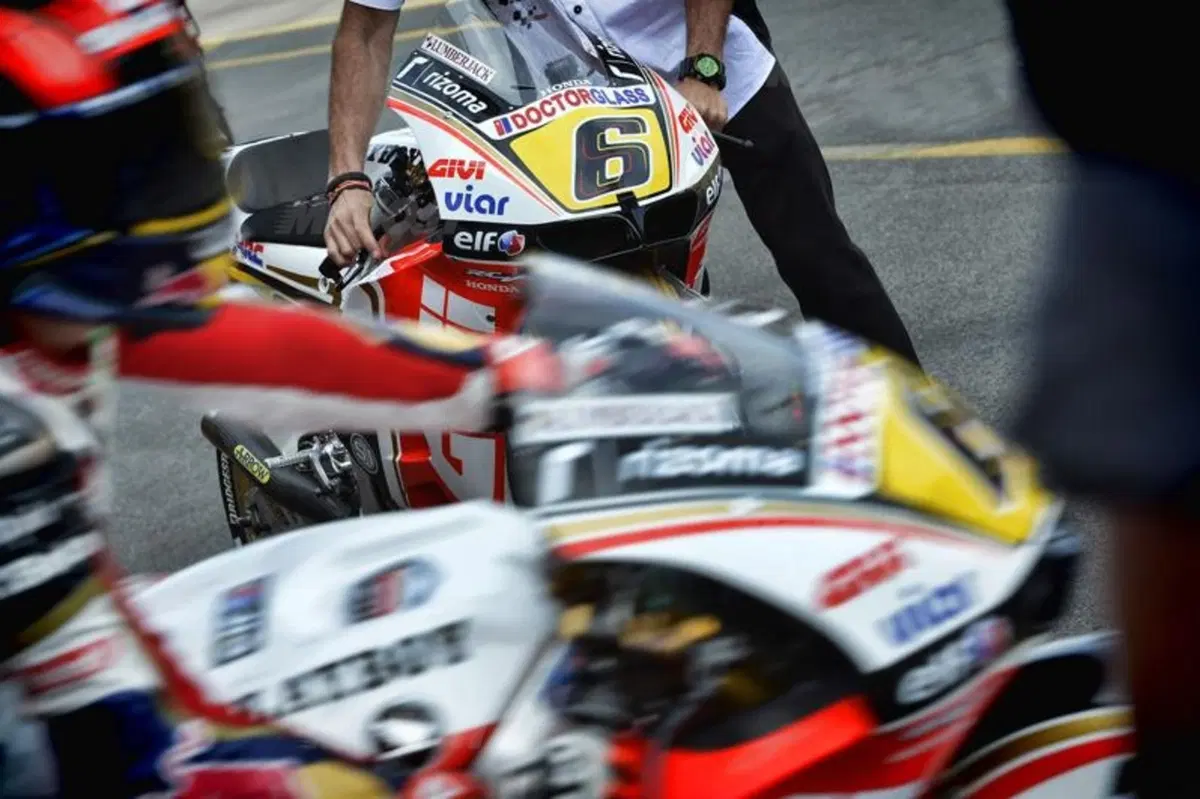 Le foto più belle del GP d'Olanda (3)